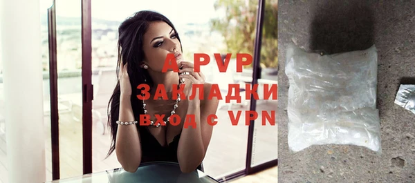 винт Осташков