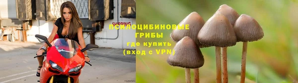 СК Балахна