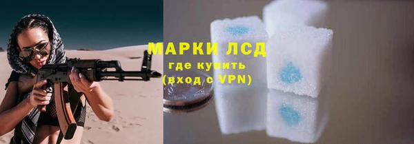 СК Балахна