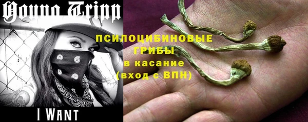 СК Балахна