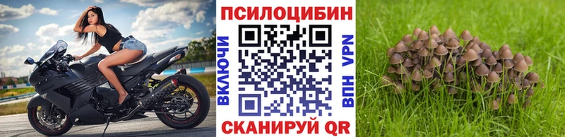 даркнет сайт Рудня Галлюциногенные грибы прущие грибы